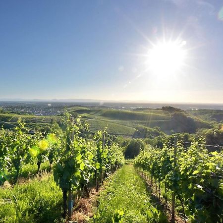 Ferienwohnungen Weingut Pieper Basler Офенбург Екстериор снимка